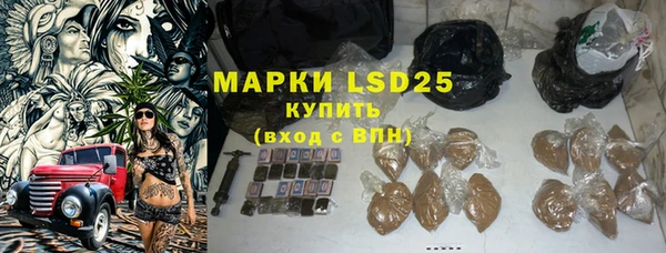 ПСИЛОЦИБИНОВЫЕ ГРИБЫ Алзамай