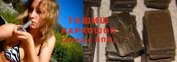 гидра Гусев