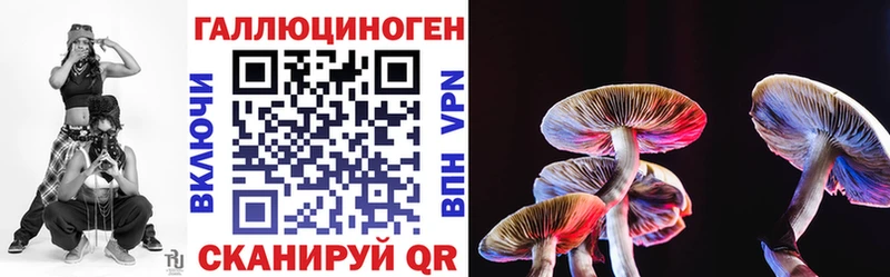 закладки omg ТОР Псилоцибиновые грибы GOLDEN TEACHER Вихоревка